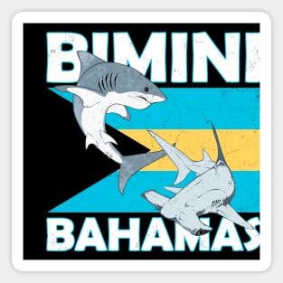 Biminin Bahamas Shark Sanctuary Magnet